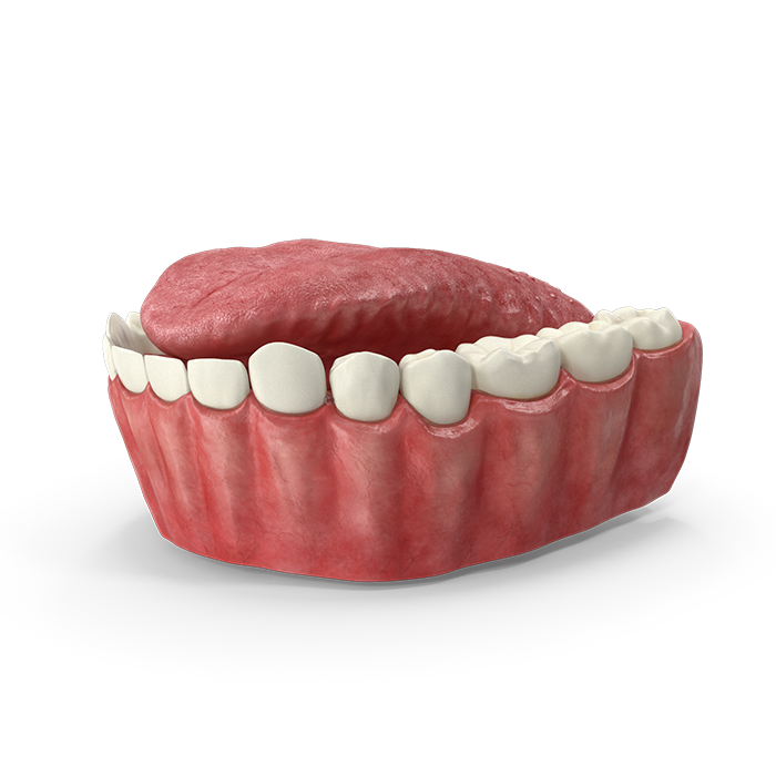 Myofunctional Orthodontics