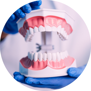 Easy Myofunctional Orthodontics